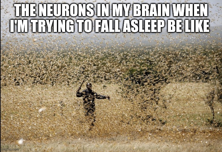 Locust Swarm | THE NEURONS IN MY BRAIN WHEN I'M TRYING TO FALL ASLEEP BE LIKE | image tagged in locust swarm,brain,sleeping,bedtime | made w/ Imgflip meme maker