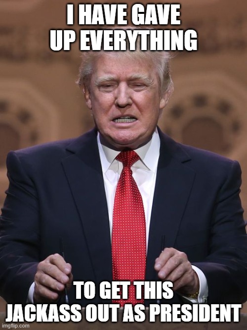 Donald Trump | I HAVE GAVE UP EVERYTHING; TO GET THIS JACKASS OUT AS PRESIDENT | image tagged in donald trump | made w/ Imgflip meme maker