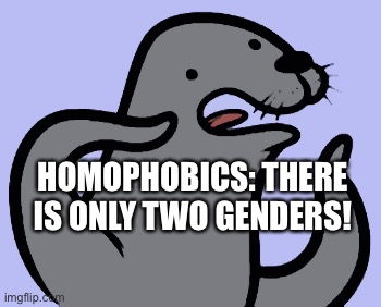 Homophobic Seal Meme | HOMOPHOBICS: THERE IS ONLY TWO GENDERS! | image tagged in memes,homophobic seal | made w/ Imgflip meme maker