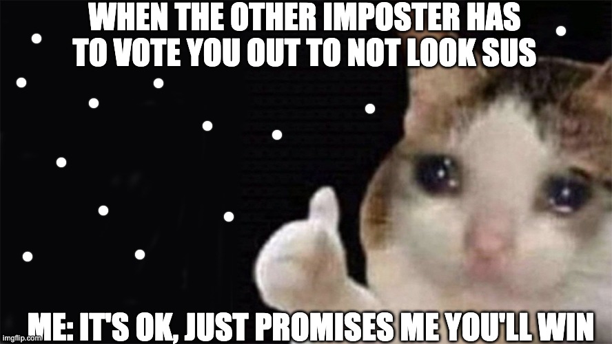 Among us be like | WHEN THE OTHER IMPOSTER HAS TO VOTE YOU OUT TO NOT LOOK SUS; ME: IT'S OK, JUST PROMISES ME YOU'LL WIN | image tagged in funny meme | made w/ Imgflip meme maker