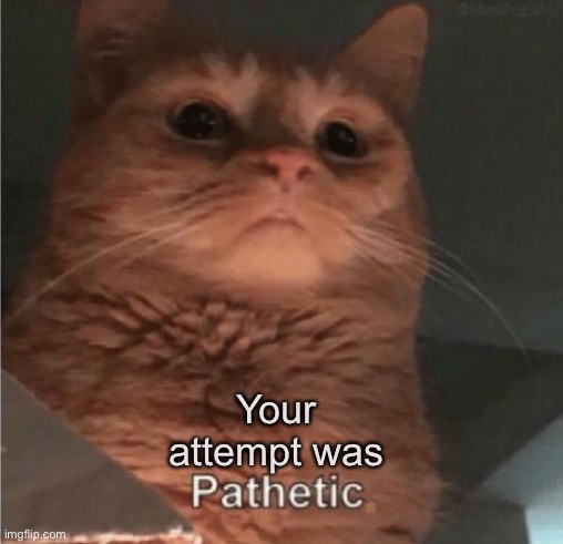 Pathetic Cat | . Your attempt was | image tagged in pathetic cat | made w/ Imgflip meme maker
