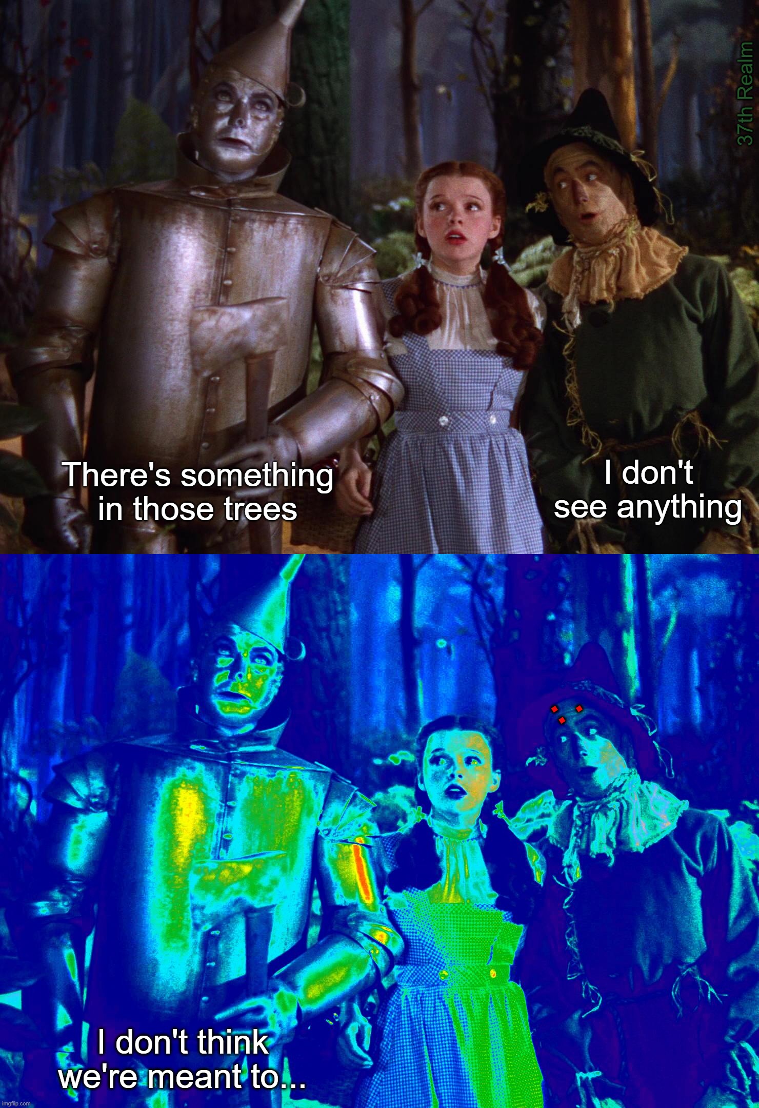 37th Realm; I don't see anything; There's something in those trees; : . I don't think we're meant to... | made w/ Imgflip meme maker