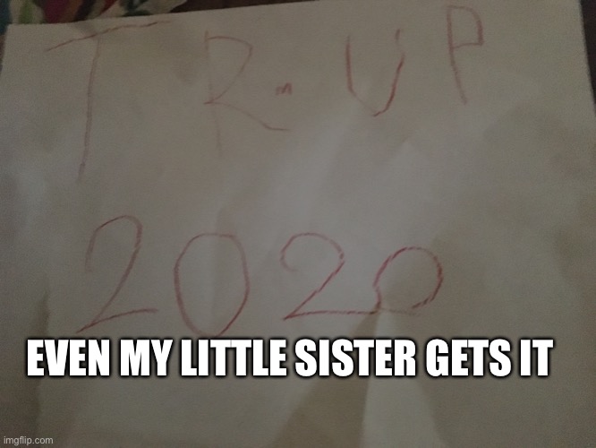 Trmup 2020! | EVEN MY LITTLE SISTER GETS IT | image tagged in memes,politics | made w/ Imgflip meme maker