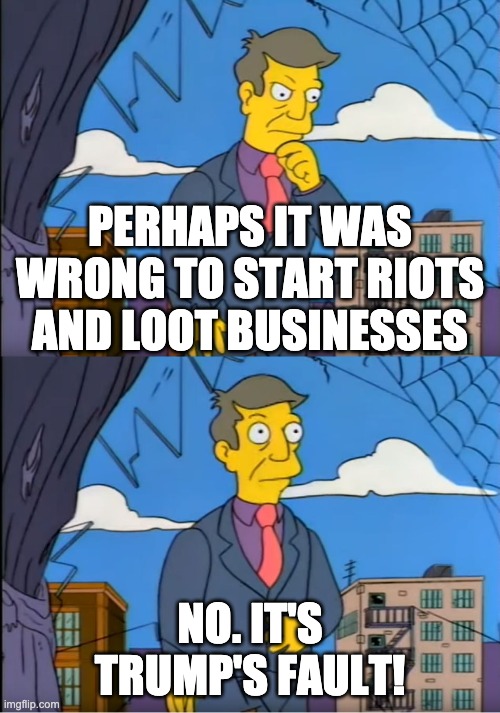 Skinner Out Of Touch | PERHAPS IT WAS WRONG TO START RIOTS AND LOOT BUSINESSES; NO. IT'S TRUMP'S FAULT! | image tagged in skinner out of touch,Conservative | made w/ Imgflip meme maker