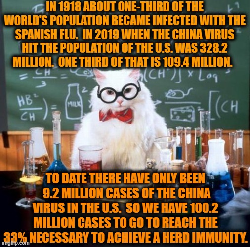 So, statistically speaking, we're either doing really good or, in the alternative, we have a long way to go... | IN 1918 ABOUT ONE-THIRD OF THE WORLD'S POPULATION BECAME INFECTED WITH THE SPANISH FLU.  IN 2019 WHEN THE CHINA VIRUS HIT THE POPULATION OF THE U.S. WAS 328.2 MILLION.  ONE THIRD OF THAT IS 109.4 MILLION. TO DATE THERE HAVE ONLY BEEN  9.2 MILLION CASES OF THE CHINA VIRUS IN THE U.S.  SO WE HAVE 100.2 MILLION CASES TO GO TO REACH THE 33% NECESSARY TO ACHIEVE A HERD IMMUNITY. | image tagged in chemistry cat,covid,covid-19,donald trump approves,statistics,wait what | made w/ Imgflip meme maker