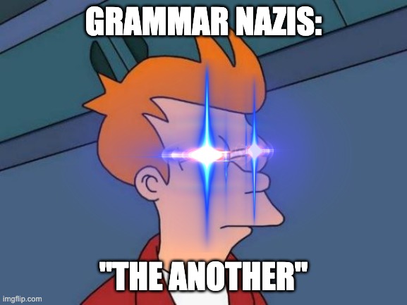 GRAMMAR NAZIS: "THE ANOTHER" | image tagged in memes,futurama fry | made w/ Imgflip meme maker