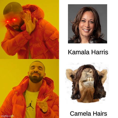 Drake Hotline Bling | Kamala Harris; Camela Hairs | image tagged in memes,drake hotline bling | made w/ Imgflip meme maker