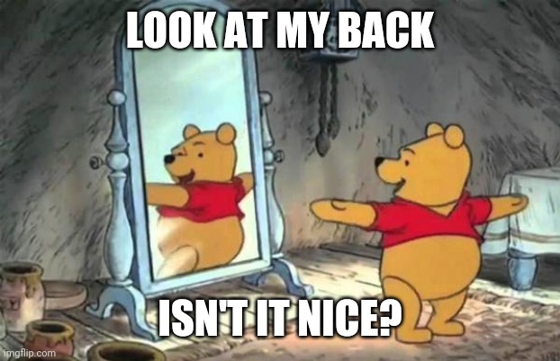 Happy Pooh Bear | LOOK AT MY BACK; ISN'T IT NICE? | image tagged in happy pooh bear | made w/ Imgflip meme maker