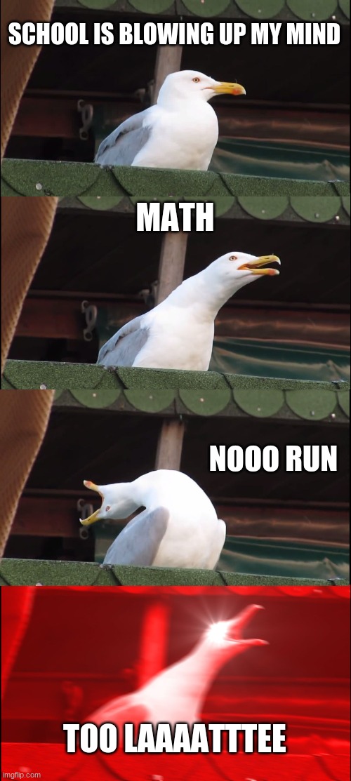 Inhaling Seagull | SCHOOL IS BLOWING UP MY MIND; MATH; NOOO RUN; TOO LAAAATTTEE | image tagged in memes,inhaling seagull | made w/ Imgflip meme maker
