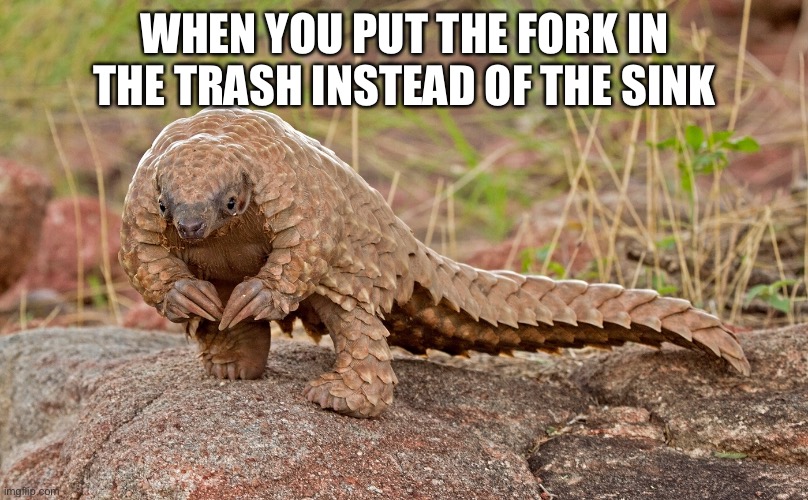 I’m not grabbing that for for you, you have to get it yourself | WHEN YOU PUT THE FORK IN THE TRASH INSTEAD OF THE SINK | image tagged in ummm pangolin,embarrassed | made w/ Imgflip meme maker