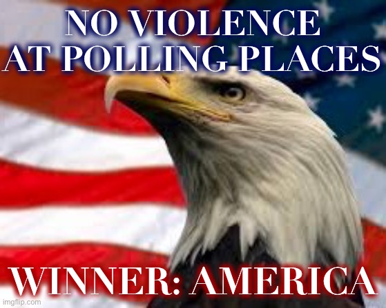 I heard reports there was no violence. In a high-turnout, high-emotion election, that is fantastic. | NO VIOLENCE AT POLLING PLACES; WINNER: AMERICA | image tagged in murica patriotic eagle | made w/ Imgflip meme maker