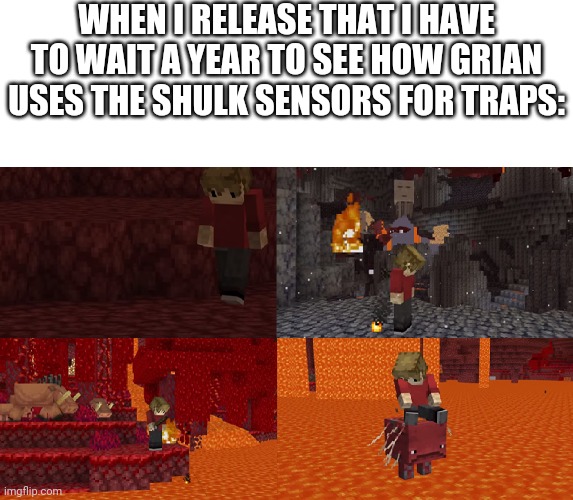 Sad Grian Nether Version | WHEN I RELEASE THAT I HAVE TO WAIT A YEAR TO SEE HOW GRIAN USES THE SHULK SENSORS FOR TRAPS: | image tagged in sad grian nether version,grian | made w/ Imgflip meme maker