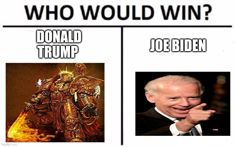 2020 election be like | DONALD TRUMP; JOE BIDEN | image tagged in memes,who would win,politics | made w/ Imgflip meme maker