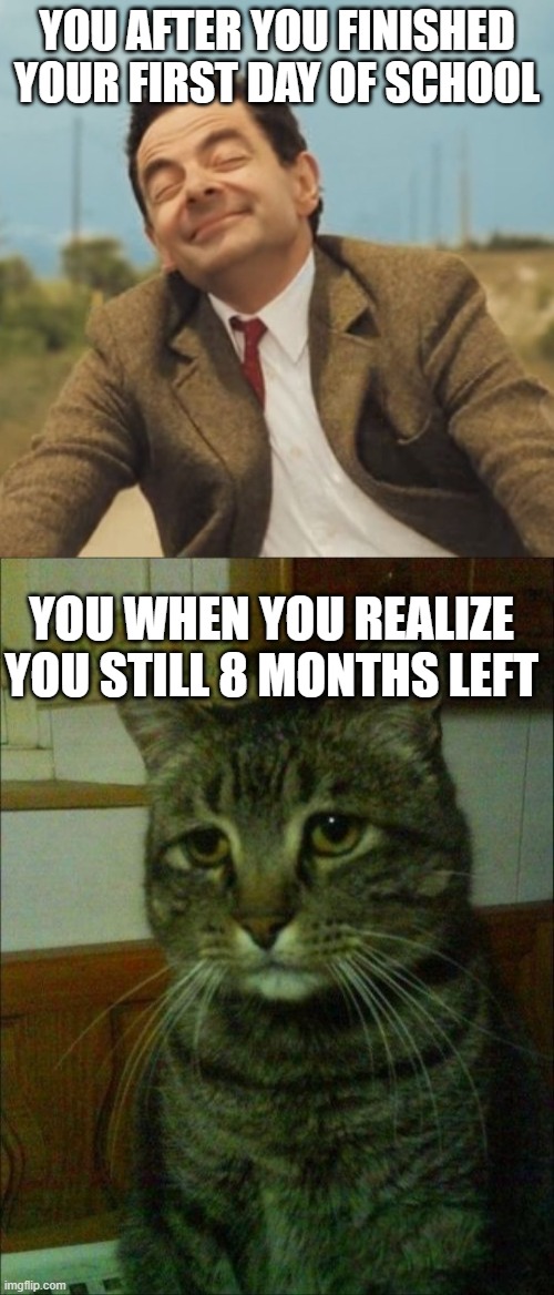 YOU AFTER YOU FINISHED YOUR FIRST DAY OF SCHOOL; YOU WHEN YOU REALIZE YOU STILL 8 MONTHS LEFT | image tagged in mr bean happy face,memes,depressed cat | made w/ Imgflip meme maker