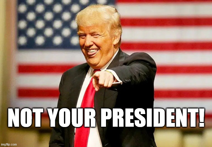 Not Your President | NOT YOUR PRESIDENT! | image tagged in trump,presidential alert,donald trump,liar,government corruption | made w/ Imgflip meme maker