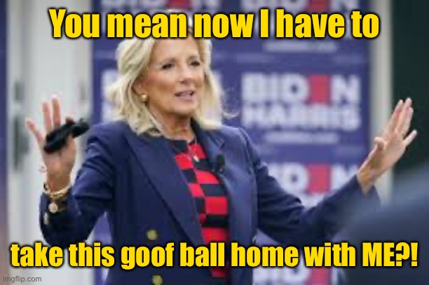 You mean now I have to take this goof ball home with ME?! | made w/ Imgflip meme maker