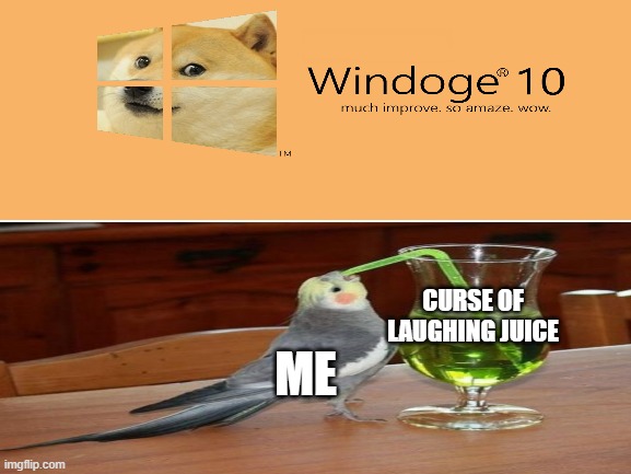 ME; CURSE OF LAUGHING JUICE | image tagged in doge | made w/ Imgflip meme maker