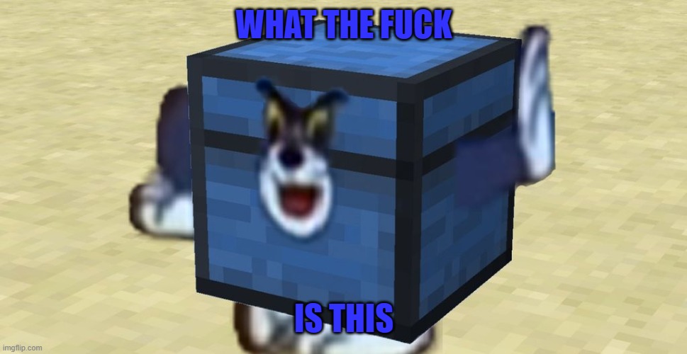 WTF | WHAT THE FUCK; IS THIS | image tagged in what the fuck did you just bring upon this cursed land,cursed image,cursed,lol,trololol | made w/ Imgflip meme maker