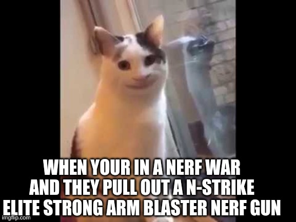 My childhood | WHEN YOUR IN A NERF WAR AND THEY PULL OUT A N-STRIKE ELITE STRONG ARM BLASTER NERF GUN | image tagged in akward,nerf,cat | made w/ Imgflip meme maker