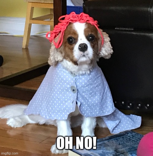 OH NO! | made w/ Imgflip meme maker