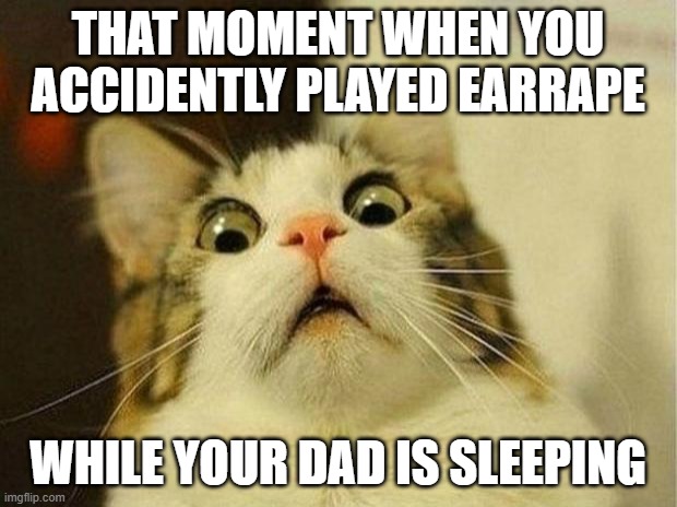 Based on a true story | THAT MOMENT WHEN YOU ACCIDENTLY PLAYED EARRAPE; WHILE YOUR DAD IS SLEEPING | image tagged in memes,scared cat,earrape | made w/ Imgflip meme maker