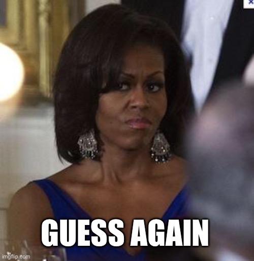 Michelle Obama side eye | GUESS AGAIN | image tagged in michelle obama side eye | made w/ Imgflip meme maker