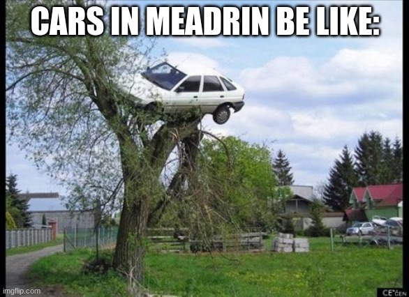 Secure Parking Meme | CARS IN MEADRIN BE LIKE: | image tagged in memes,secure parking | made w/ Imgflip meme maker