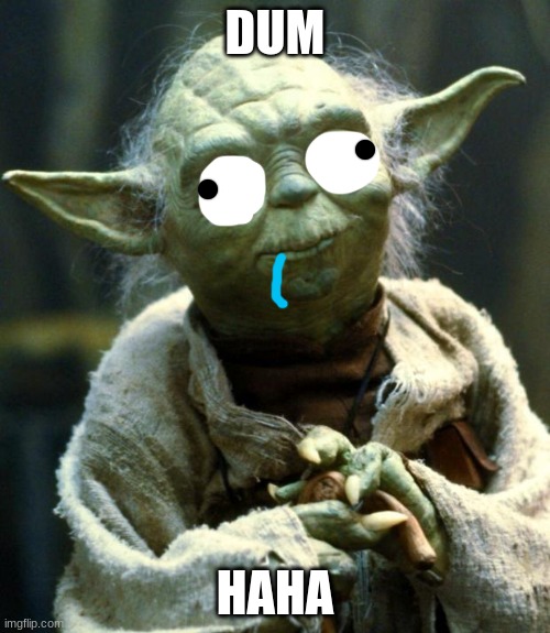 Star Wars Yoda Meme | DUM; HAHA | image tagged in memes,star wars yoda | made w/ Imgflip meme maker