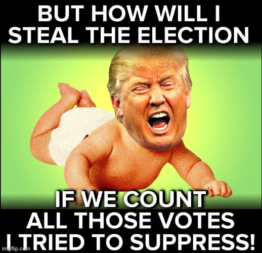 Count 'em all. It's how we've always done it. | image tagged in repost,election 2020,2020 elections,democracy | made w/ Imgflip meme maker