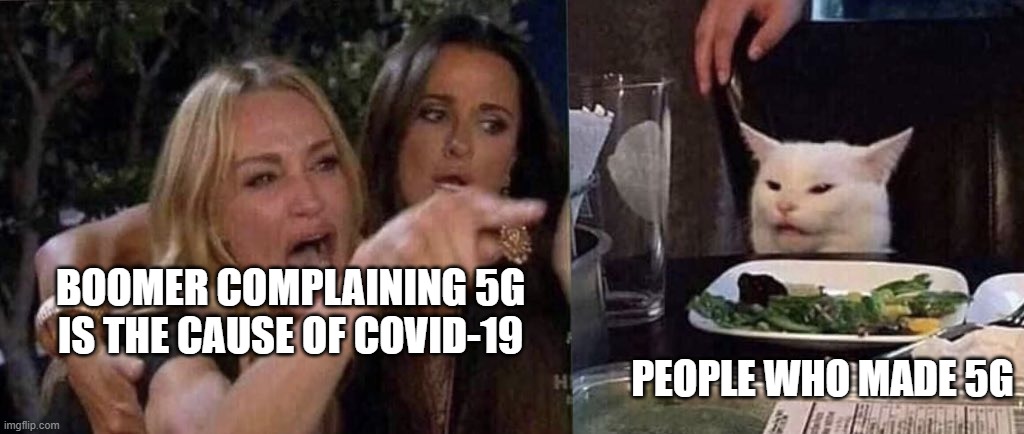 woman yelling at cat | BOOMER COMPLAINING 5G IS THE CAUSE OF COVID-19; PEOPLE WHO MADE 5G | image tagged in woman yelling at cat | made w/ Imgflip meme maker