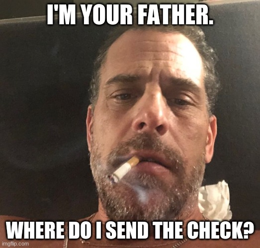 I'm Your Dad. Where do I send the check? | I'M YOUR FATHER. WHERE DO I SEND THE CHECK? | image tagged in hunter biden | made w/ Imgflip meme maker