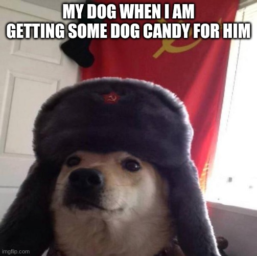 communist | MY DOG WHEN I AM GETTING SOME DOG CANDY FOR HIM | image tagged in russian doge,doggo,communists | made w/ Imgflip meme maker
