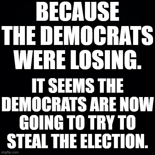 BECAUSE THE DEMOCRATS WERE LOSING. IT SEEMS THE DEMOCRATS ARE NOW GOING TO TRY TO STEAL THE ELECTION. | image tagged in election 2020 | made w/ Imgflip meme maker