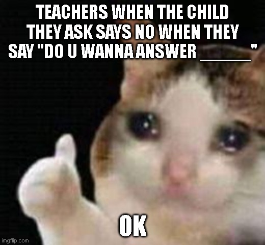 Approved crying cat | TEACHERS WHEN THE CHILD THEY ASK SAYS NO WHEN THEY SAY "DO U WANNA ANSWER _____"; OK | image tagged in approved crying cat | made w/ Imgflip meme maker