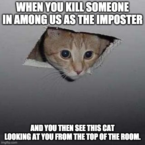 Ceiling Cat | WHEN YOU KILL SOMEONE IN AMONG US AS THE IMPOSTER; AND YOU THEN SEE THIS CAT LOOKING AT YOU FROM THE TOP OF THE ROOM. | image tagged in memes,ceiling cat | made w/ Imgflip meme maker