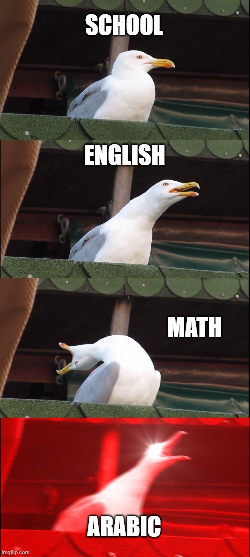 Inhaling Seagull Meme | SCHOOL; ENGLISH; MATH; ARABIC | image tagged in memes,inhaling seagull | made w/ Imgflip meme maker