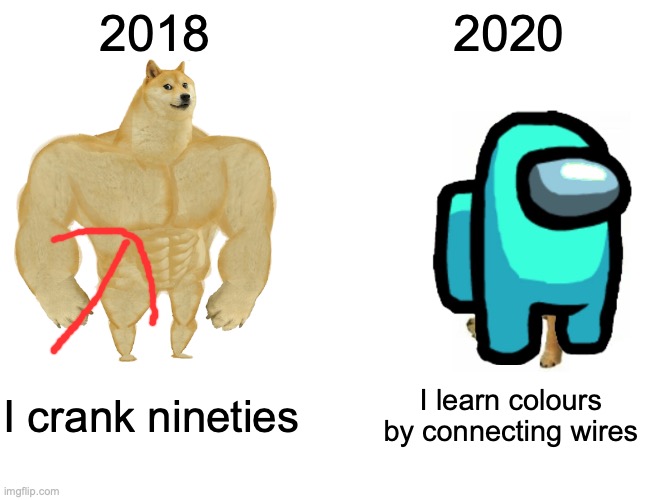 Buff Doge vs. Cheems | 2018; 2020; I crank nineties; I learn colours by connecting wires | image tagged in memes,buff doge vs cheems | made w/ Imgflip meme maker