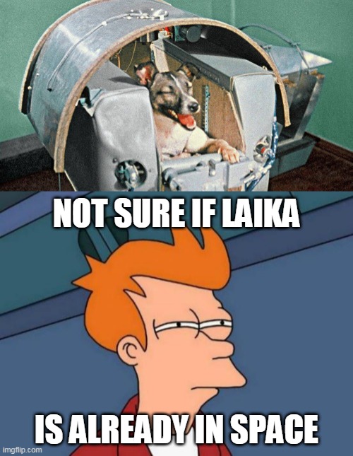 NOT SURE IF LAIKA; IS ALREADY IN SPACE | image tagged in laika,memes,futurama fry | made w/ Imgflip meme maker