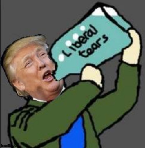 Liberal tears | image tagged in liberal tears | made w/ Imgflip meme maker