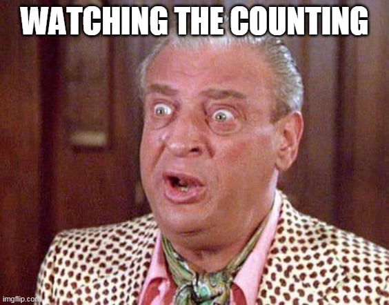Elections | WATCHING THE COUNTING | image tagged in election 2020,memes | made w/ Imgflip meme maker