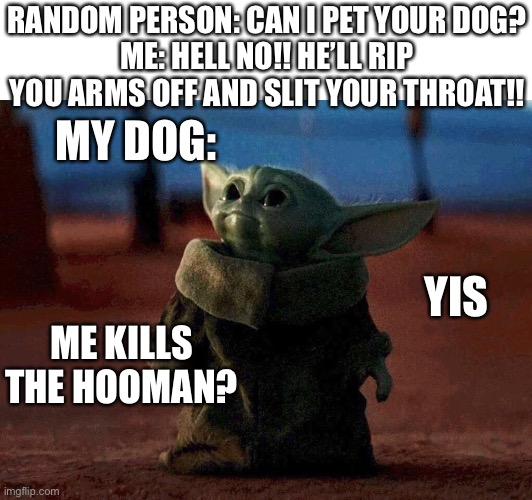 Baby Yoda |  RANDOM PERSON: CAN I PET YOUR DOG?
ME: HELL NO!! HE’LL RIP YOU ARMS OFF AND SLIT YOUR THROAT!! MY DOG:; YIS; ME KILLS THE HOOMAN? | image tagged in baby yoda | made w/ Imgflip meme maker
