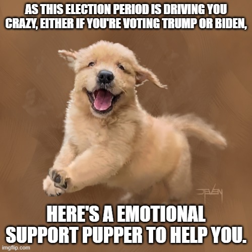 No need to thanks me. | AS THIS ELECTION PERIOD IS DRIVING YOU CRAZY, EITHER IF YOU'RE VOTING TRUMP OR BIDEN, HERE'S A EMOTIONAL SUPPORT PUPPER TO HELP YOU. | image tagged in happy pupper face,memes,election day,crazy,pupper | made w/ Imgflip meme maker