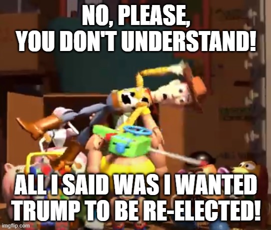 No, please, you don't understand! | NO, PLEASE, YOU DON'T UNDERSTAND! ALL I SAID WAS I WANTED TRUMP TO BE RE-ELECTED! | image tagged in no please you don't understand | made w/ Imgflip meme maker