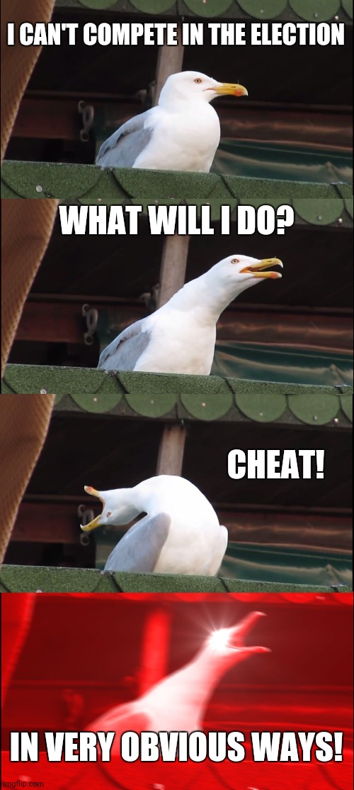 Inhaling Seagull | I CAN'T COMPETE IN THE ELECTION; WHAT WILL I DO? CHEAT! IN VERY OBVIOUS WAYS! | image tagged in memes,inhaling seagull | made w/ Imgflip meme maker