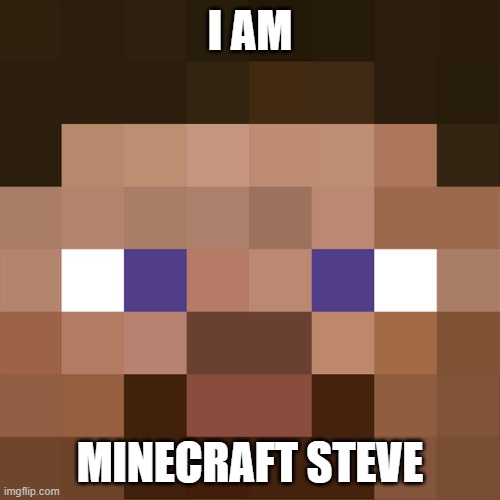 i am minecraft steve | I AM; MINECRAFT STEVE | image tagged in minecraft | made w/ Imgflip meme maker