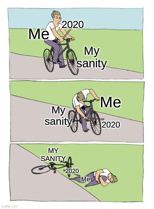 Bike Fall | 2020; Me; My sanity; Me; My sanity; 2020; MY SANITY; 2020; Me | image tagged in memes,bike fall,mysanity,oof | made w/ Imgflip meme maker
