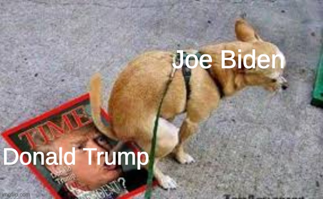 Trump Dog Poop | Joe Biden; Donald Trump | image tagged in trump dog poop | made w/ Imgflip meme maker