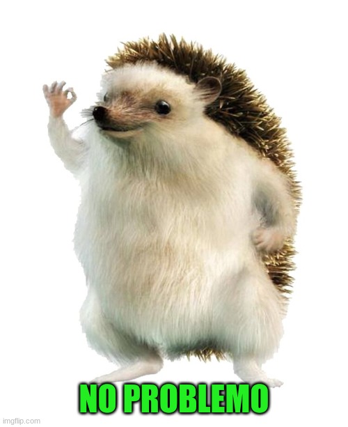 NO PROBLEMO | made w/ Imgflip meme maker