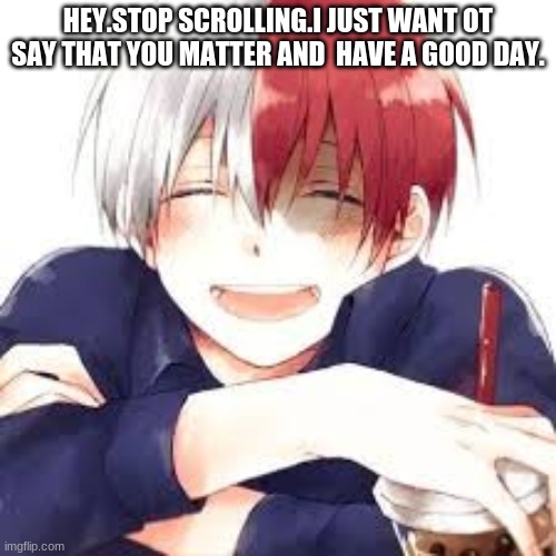You have a good day UwU | HEY.STOP SCROLLING.I JUST WANT OT SAY THAT YOU MATTER AND  HAVE A GOOD DAY. | image tagged in mha,good day,todoroki | made w/ Imgflip meme maker