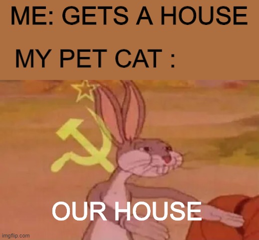 Bugs bunny communist | ME: GETS A HOUSE; MY PET CAT :; OUR HOUSE | image tagged in bugs bunny communist | made w/ Imgflip meme maker